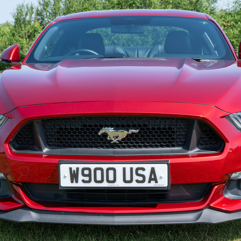Mustang