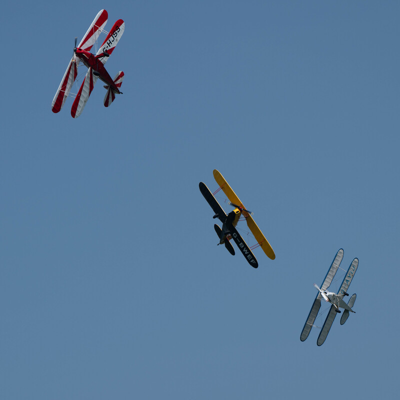 Stampe
