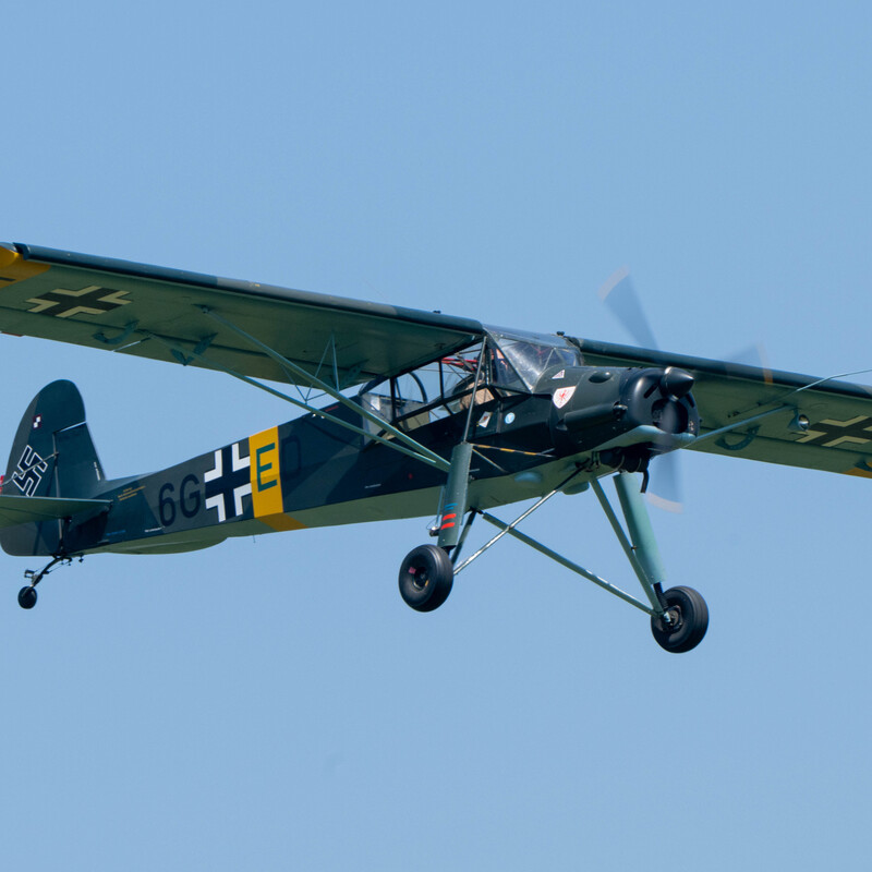 Storch