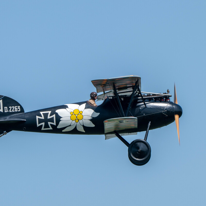 Albatross DVa